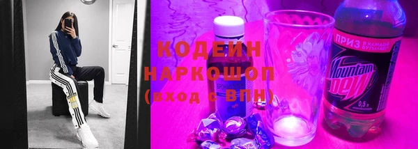 шишки Бородино