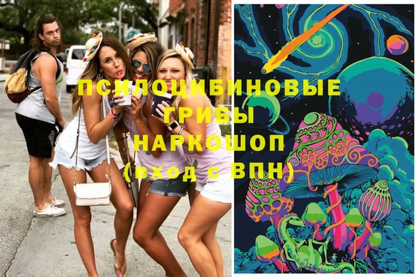 мяу мяу мука Бугульма