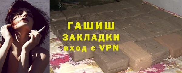 шишки Бородино