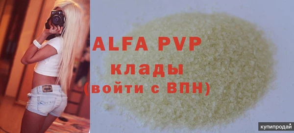 шишки Бородино