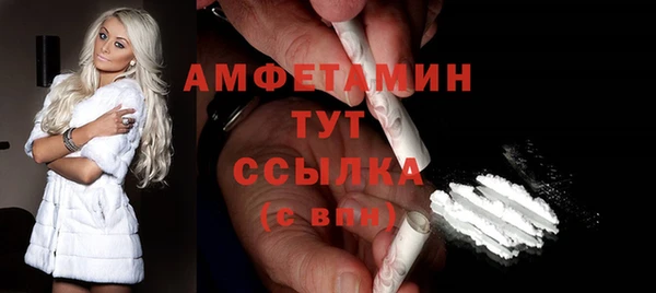 шишки Бородино