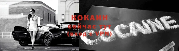 шишки Бородино