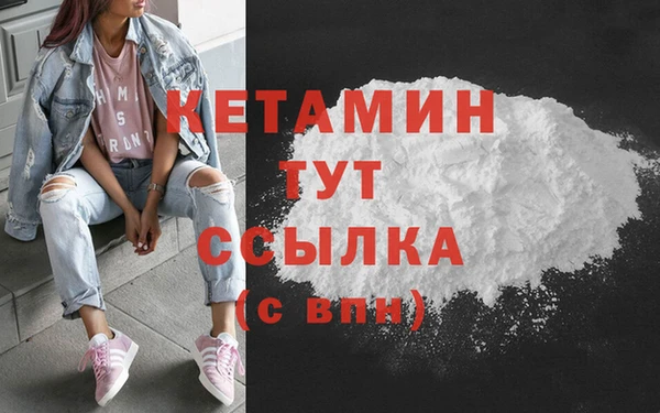 шишки Бородино