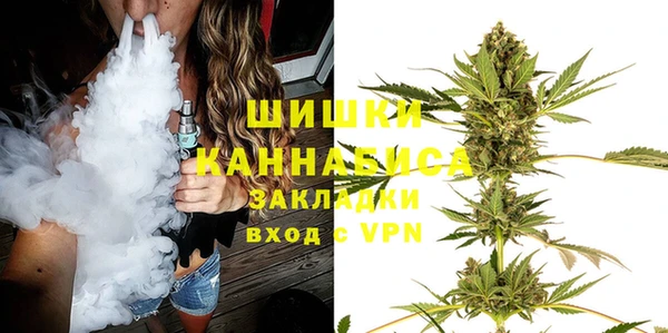 шишки Бородино