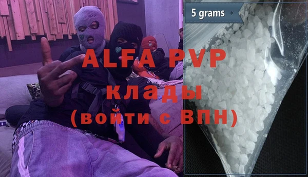 шишки Бородино