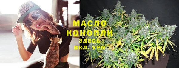 шишки Бородино