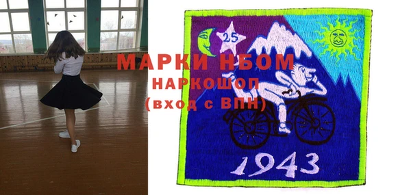 шишки Бородино