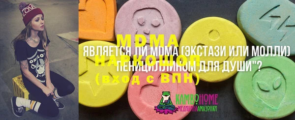 шишки Бородино
