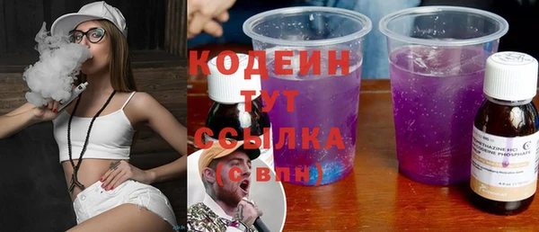 шишки Бородино