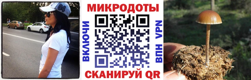 купить закладку Семёнов Псилоцибиновые грибы Magic Shrooms